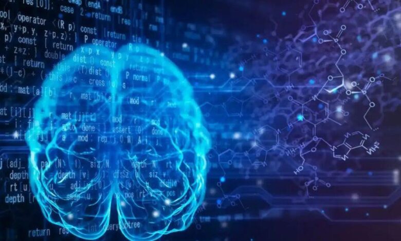 Global QI: Morocco Climbs Two Places to Rank 66th Internationally 1 vis 0206202610053436