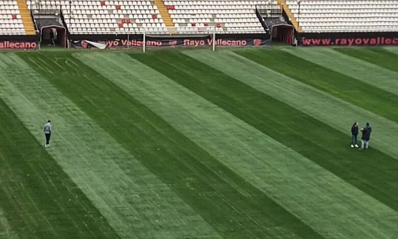 vis 0207202614574065 1