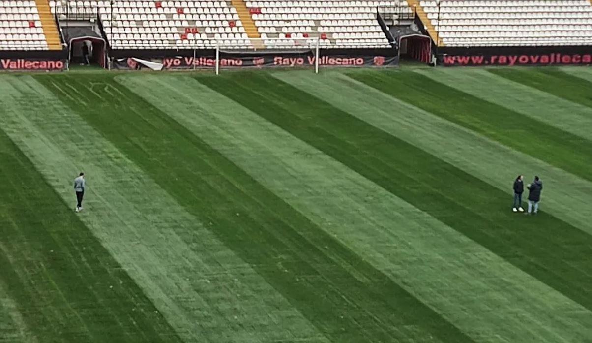 vis 0207202614574065 1