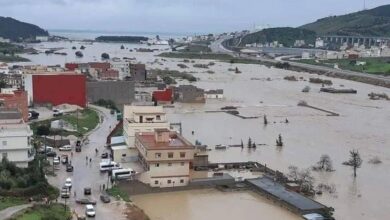 vis 0209202612193312