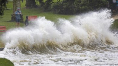 vis 0216202608573478