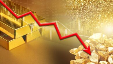 vis 0220202610232479 1024x610