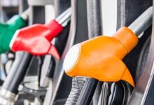 vis 0929202209051309