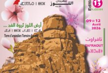 WhatsApp Image 2026 03 27 at 18.44.16