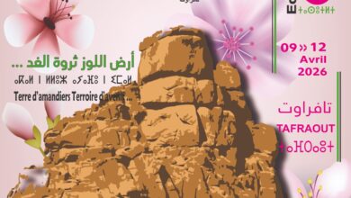Almond Tree Festival 2026 in Tafraout 17 WhatsApp Image 2026 03 27 at 18.44.16
