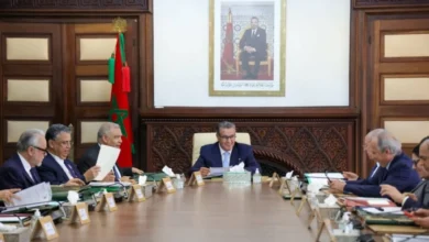 Subsidy Continuation: Moroccan Government Assures on Butane Gas and Electricity 6 gouvernement.webp