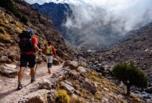 Al Haouz: Tourist Overnight Stays Increase by 4% in 2025 12 tourismealhaouz