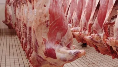 viande rouge copie.webp