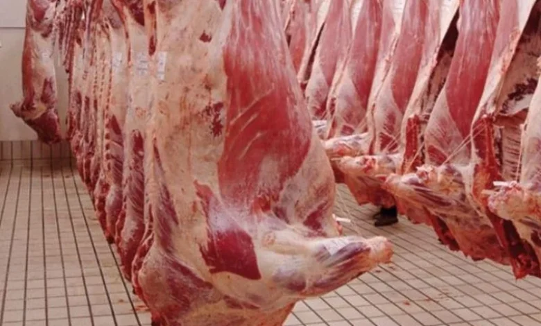 viande rouge copie.webp