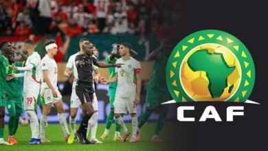 vis 0128202614100881