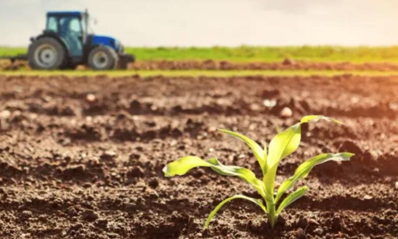 Exceptional rainfall signals a promising agricultural season in Morocco. 1 vis 0226202622145936