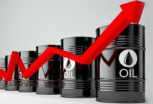 vis 0302202600031131