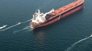 vis 0306202617350332