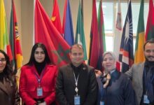 vis 0306202622055816