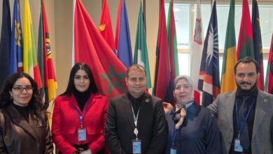 vis 0306202622055816