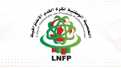 vis 0313202621122151