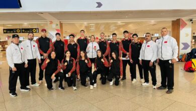 vis 0315202607143765