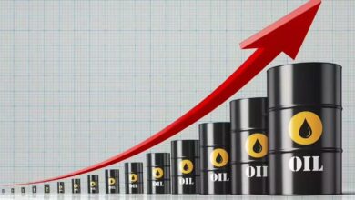 vis 0316202610211527