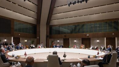 vis 0319202609524979 1024x683