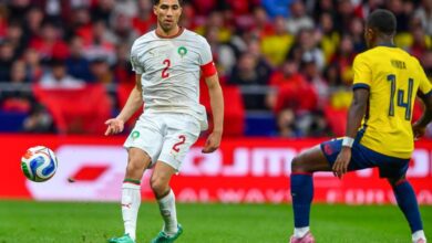 vis 0328202613335397