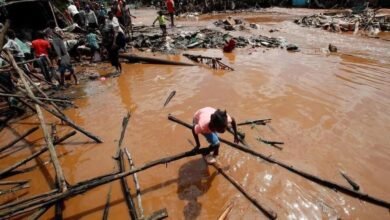 vis 0329202611213425