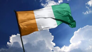 vis 0329202613263007