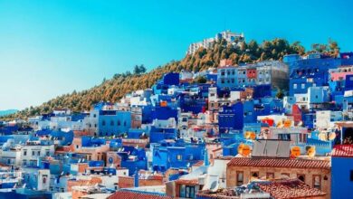 vis 0331202619012180