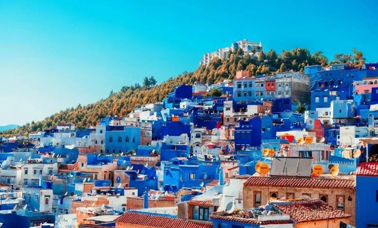 vis 0331202619012180