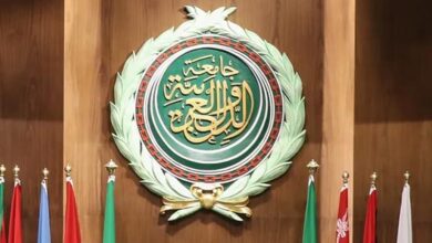 vis 1124202518223011