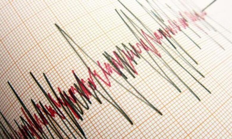 vis 1207202510414133