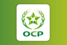 OCP logo 504x297 1