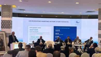 WhatsApp Image 2026 04 01 at 15.39.05