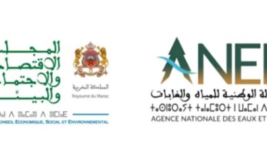 WhatsApp Image 2026 04 10 at 16.39.00