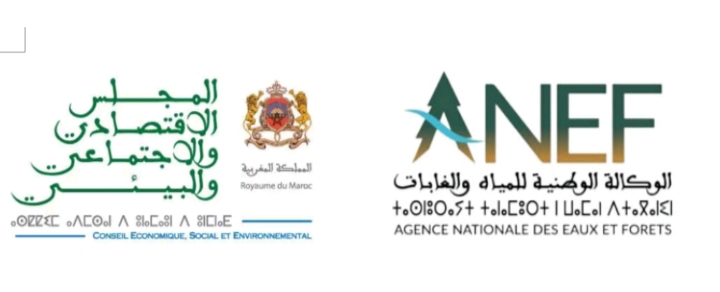 WhatsApp Image 2026 04 10 at 16.39.00