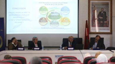 WhatsApp Image 2026 04 16 at 13.33.30 1