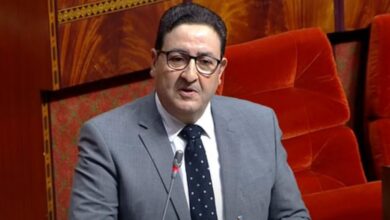 slider 1760546736قيوح