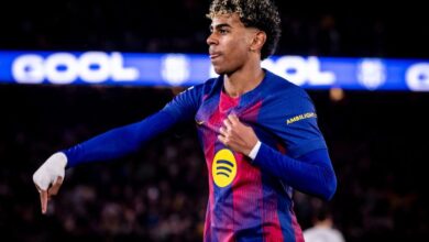 vis 0125202618395502 1024x682