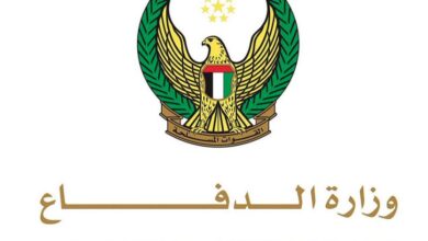 vis 0228202616535484