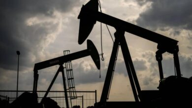 vis 0307202610100428