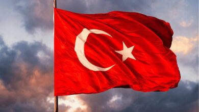 vis 0309202620535043 1