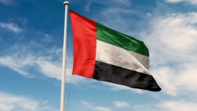 vis 0326202600250995