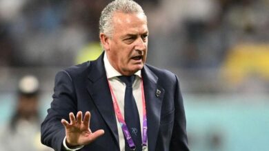 vis 0331202623292617