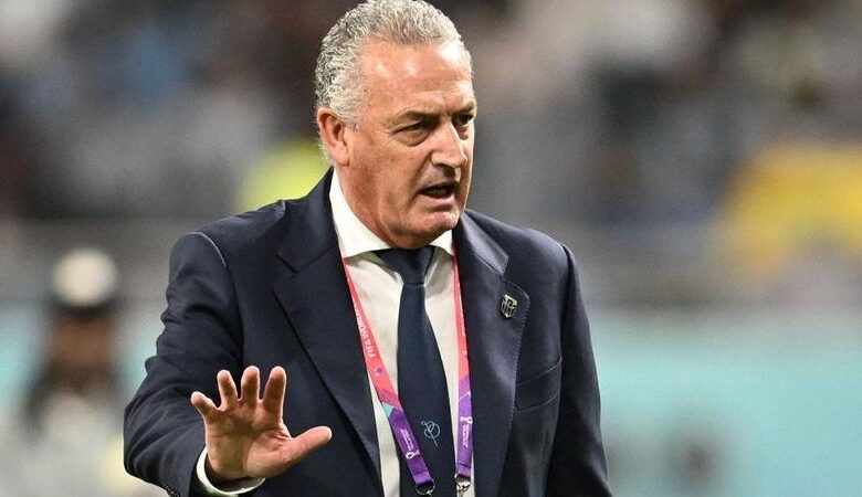 vis 0331202623292617