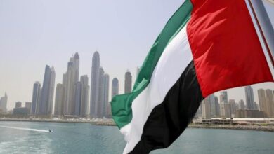 vis 0401202612135908