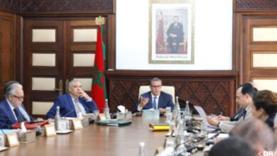 vis 0402202614570832