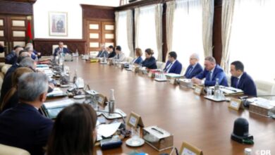 vis 0402202615123060