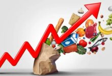 vis 0403202609455474