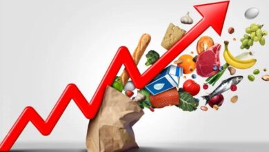 FAO: Global Food Prices Continue to Rise in March 2026 4 vis 0403202609455474