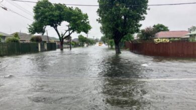 vis 0411202609464352