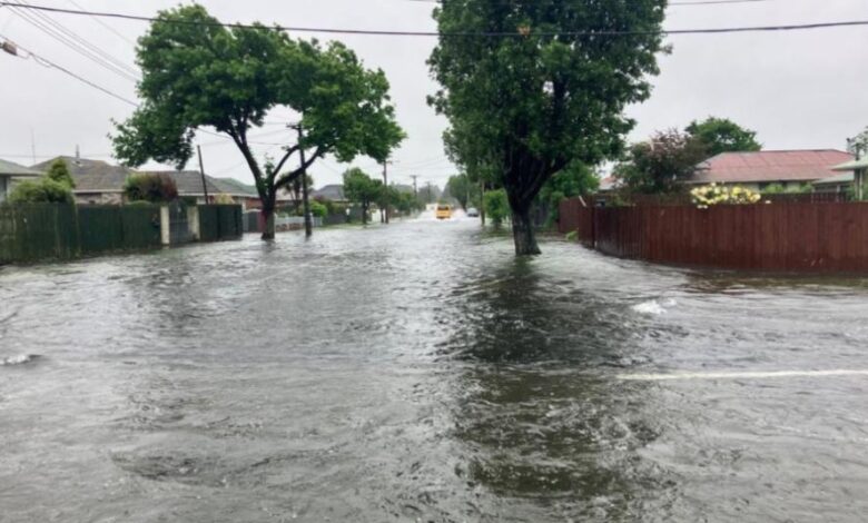 vis 0411202609464352